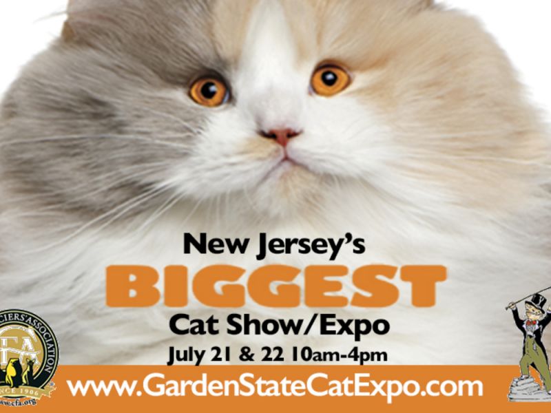 Garden State Cat Expo Show Nj Expo